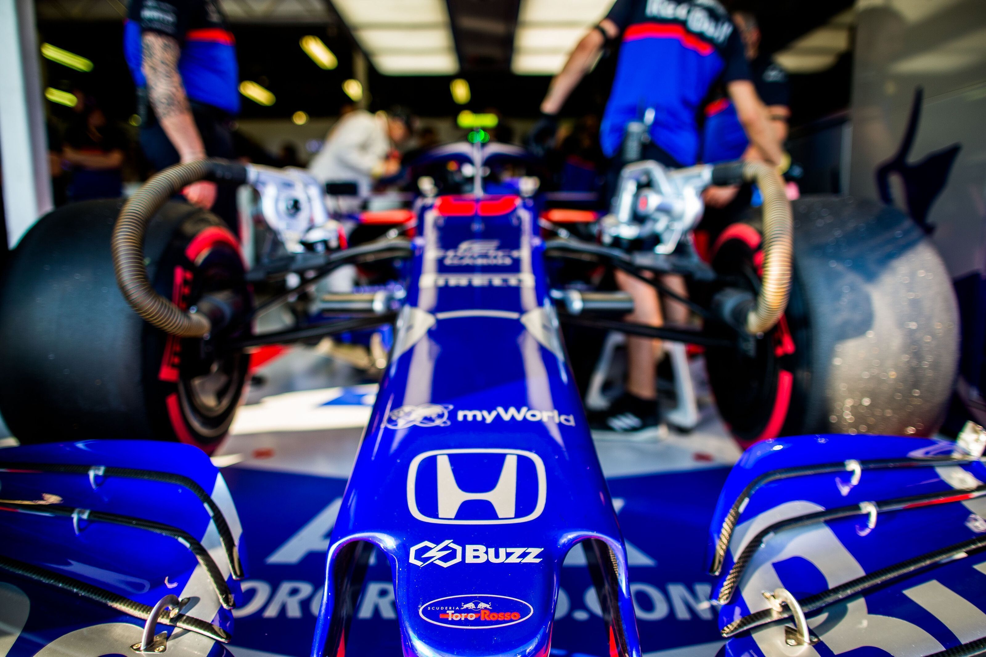 Toro Rosso with Buzz Asset Management