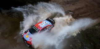 Thierry Neuville, WRC, Rally Argentina