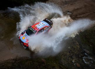 Thierry Neuville, WRC, Rally Argentina