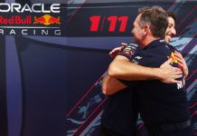 Christian Horner, Daniel Ricciardo
