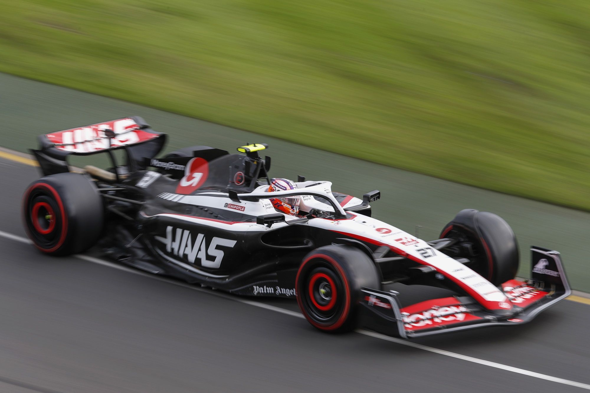 FIA, Haas