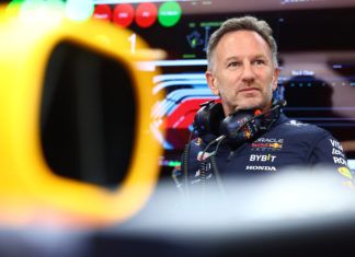 Christian Horner, F1