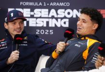 Max Verstappen, F1, Lando Norris