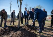 El Circuit planta 200 arbres per pal·liar l’efecte illa tèrmica i fomentar la biodiversitat