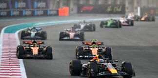 Lando Norris, Andrea Stella, F1, Abu Dhabi GP