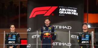 F1, Abu Dhabi GP, Max Verstappen, Lando Norris