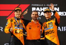 Andrea Stella, F1, McLaren