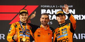 Andrea Stella, F1, McLaren