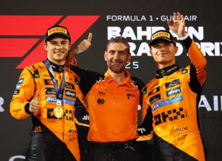 Andrea Stella, F1, McLaren