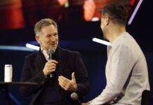 Christian Horner, F1