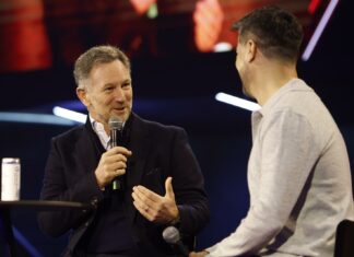 Christian Horner, F1