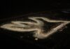 MotoGP confirms new date for the Qatar Grand Prix