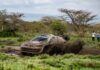 Katsuta conquereix la savana de Kènia amb la seva primera victòria al WRC