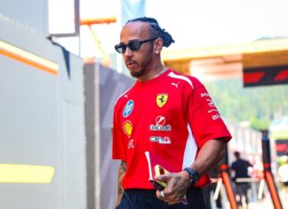 Lewis Hamilton acull un nou cadell, Halo, durant la pausa d’estiu de la F1