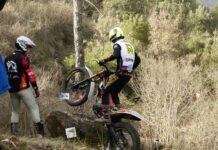 Trial